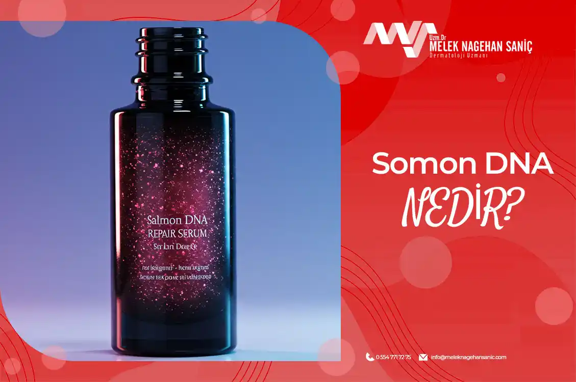 somon dna